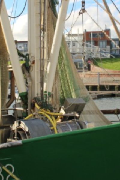 SDN bespricht das Thema Krabbenfischerei