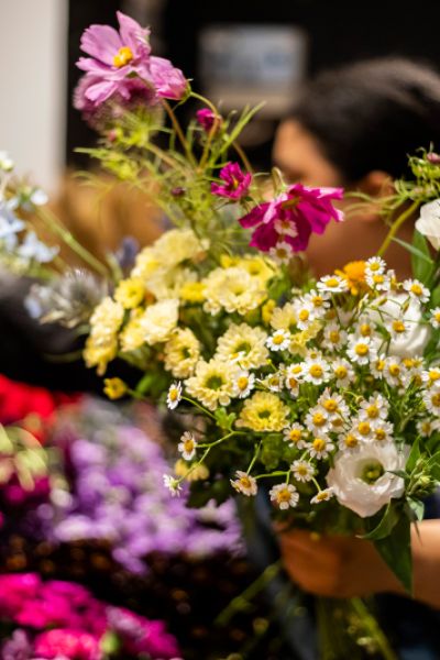 Mehr Geld für Floristikbranche