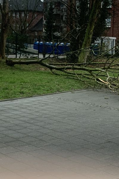 Sturm sorgt nur für kleinere Schäden