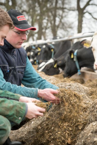 Ministerium fördert Landwirte bei Direktvermarktung