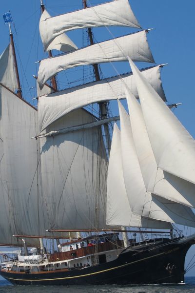 Großsegler „GULDEN LEEUW“ kommt nach Wilhelmshaven