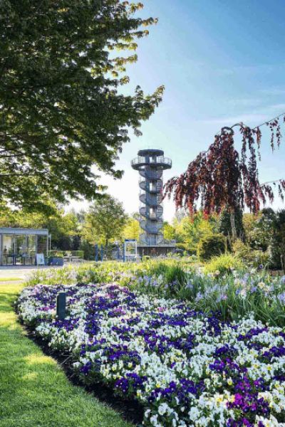 Besuchsrekord im Park der Gärten