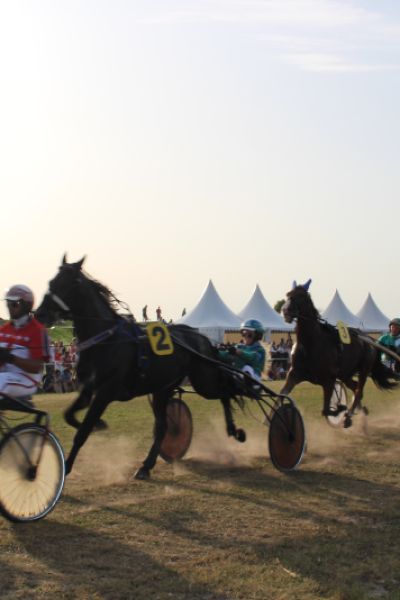 Rennsportverein plant drei Renntage 2023