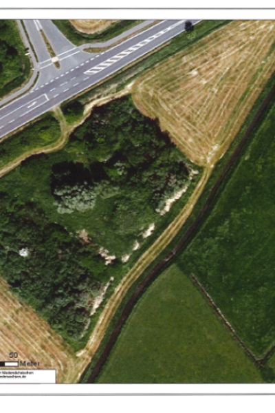 Sportplatz soll dem Naturschutz übergeben werden