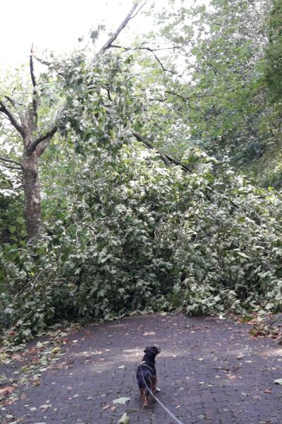 Sturm „Xavier“ sorgt für Schäden