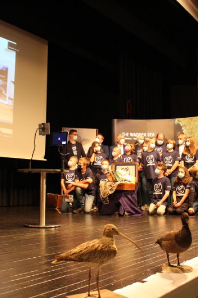 Alpenrobben aus Österreich zu Gast am Wattenmeer
