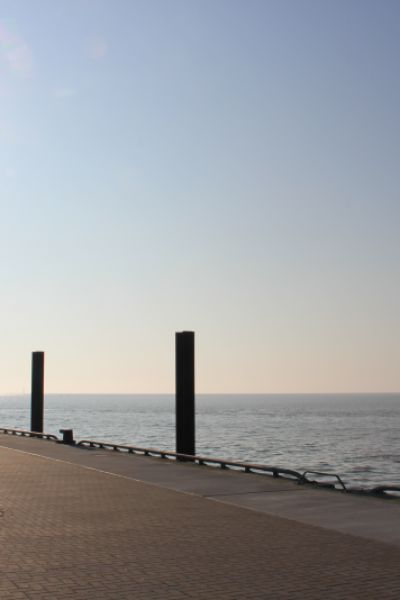 Suche nach Hund am Helgolandkai ohne Erfolg