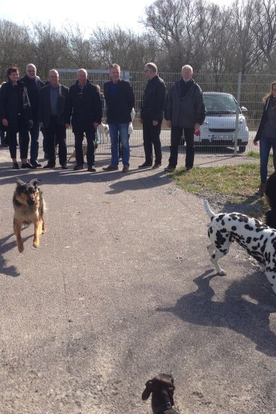 Über 20.000€ Spenden für Kriegsgräberfürsorge