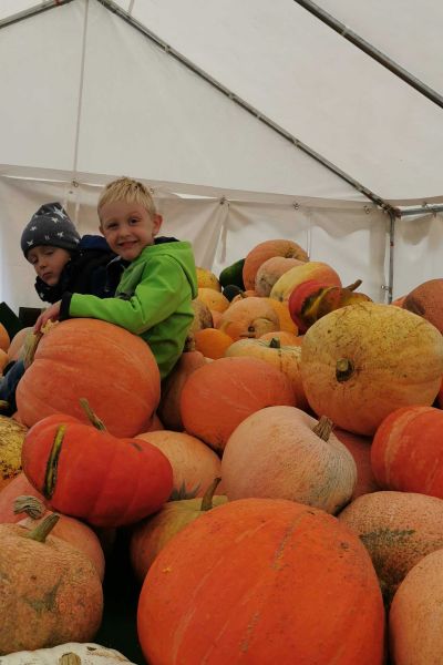 Kürbisfest in Varel gut besucht