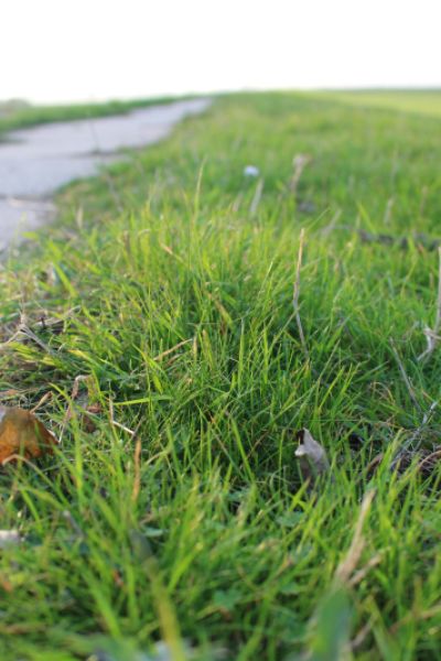 Teil des Voslapper Deichs abgesperrt