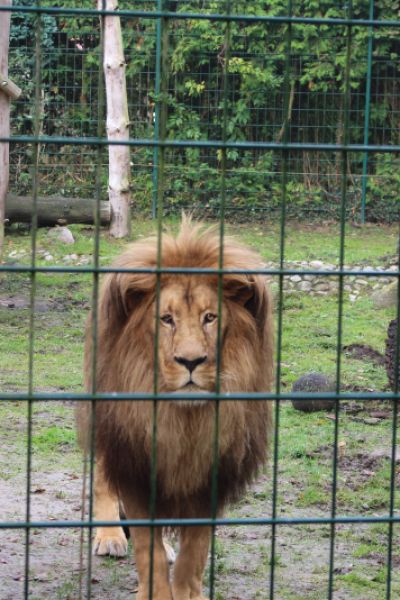 Neuerungen im Jaderpark
