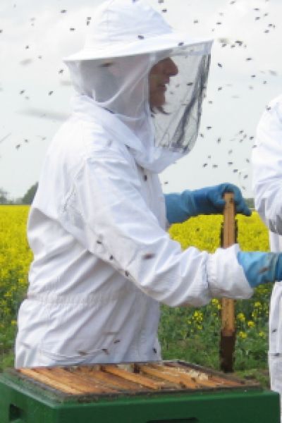 Bienenaktion der Friesländer Grünen