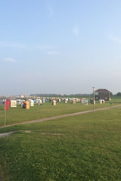 „Hoher Stuhl“ kommt 2018