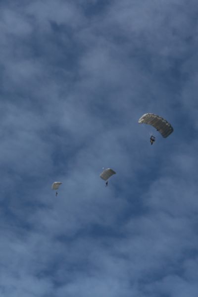 Kulturkarussell gut besucht