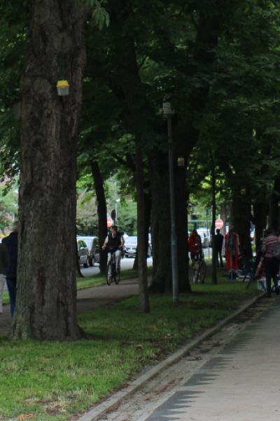 Städtetag fordert gesetzliche Regelung für Flohmärkte