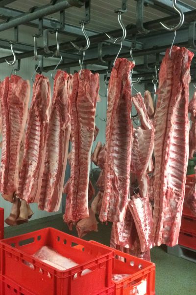 Wurstwaren wegen Listerien zurückgerufen