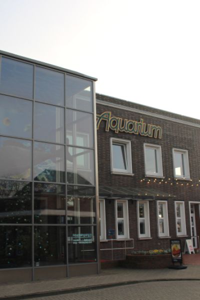 Aquarium Wilhelmshaven feiert 20. Jubiläum mit Meeressauriern