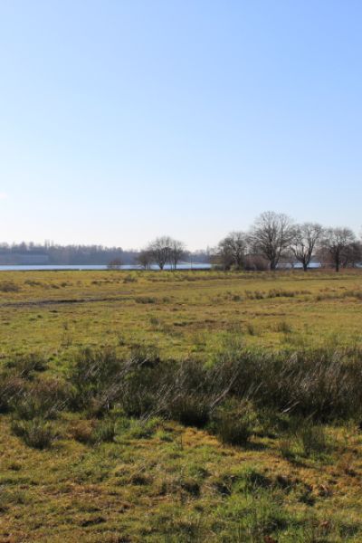 Land informiert zur Grundsteuerreform