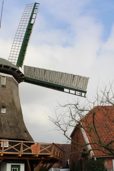 Müllerhandwerk ist Immaterielles Kulturerbe