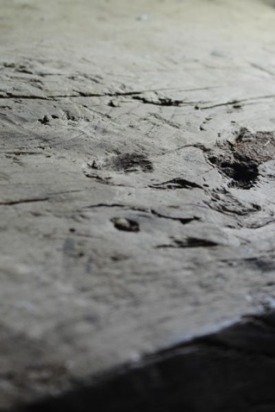 Weniger Holzdiebstähle in Niedersachsen