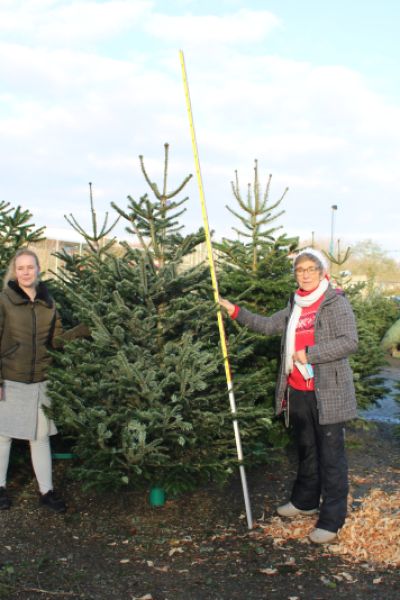 Kindergärten und Hospize erhalten Tannenbaum