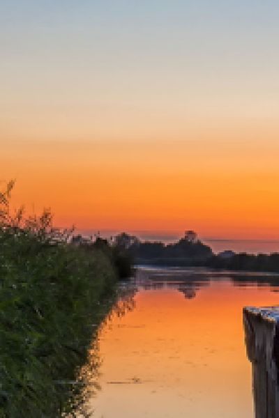 Pilsner Jahrgang freigegeben