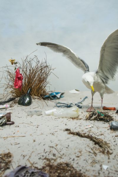 Stadt prüft Plastik-Vermeidung