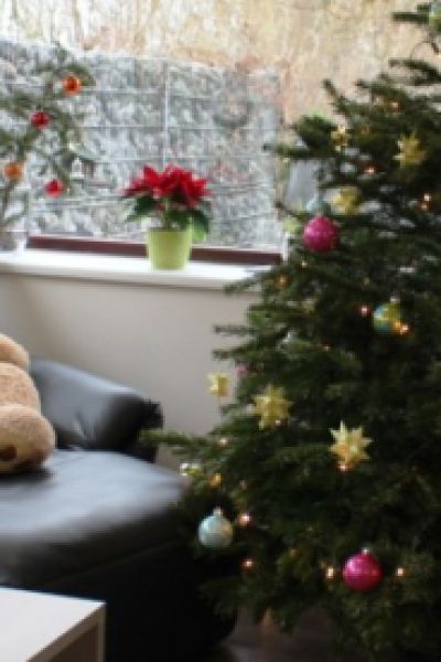 Jugendfeuerwehr sammelt Weihnachtsbäume ein