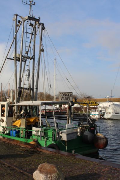 Neue Kaje für Vareler Hafen