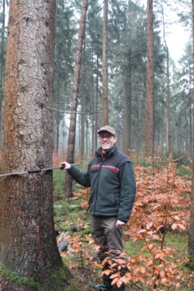 Waldentwicklung im Forst Upjever festgelegt