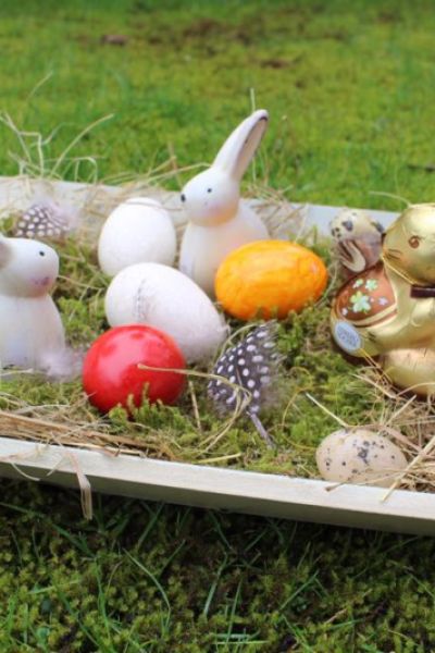 16 Millionen belastete Eier aus Niedersachsen verkauft