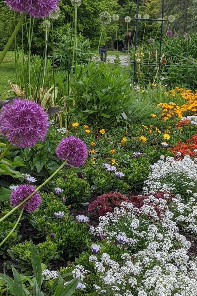 Landkreis Wittmund ruft zum Urban Gardening auf