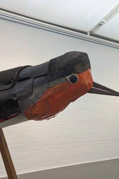Kunsthalle Wilhelmshaven bietet Kunst aus Vogelperspektive
