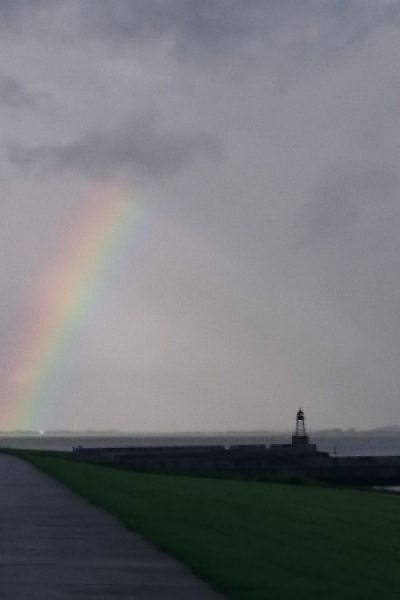 Wohnmobilplatz Schleuseninsel auf Platz 1