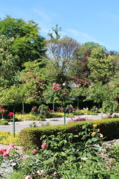 Lichterfest ist an diesem Wochenende im Rosarium