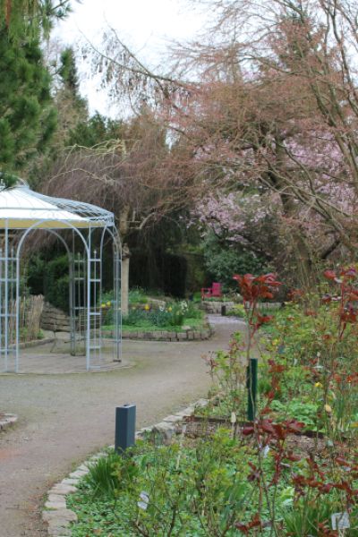 Erneuter Einbruch und Vandalismus im Rosarium