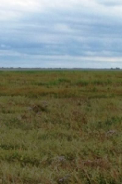 Landwirtschaftskammer ehrt Absolventen