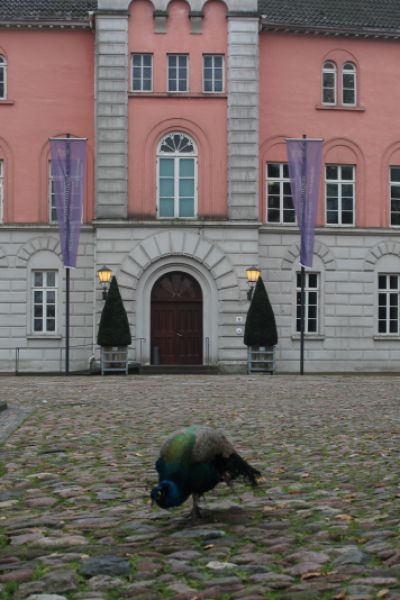 Jever begrüßt neue Klimaschutzmanagerin