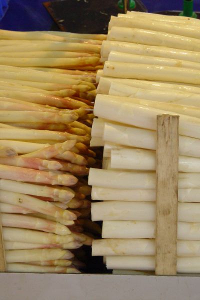 Spargelbauern hoffen auf trockenes Wetter