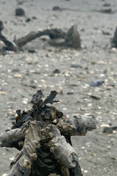 IHK veröffentlicht Konjunkturumfrage