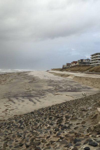 Untersuchung der Sturmschäden