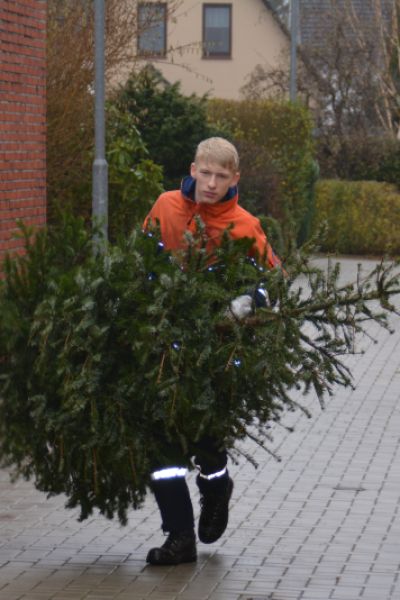 Jugendfeuerwehr sammelt Weihnachtsbäume