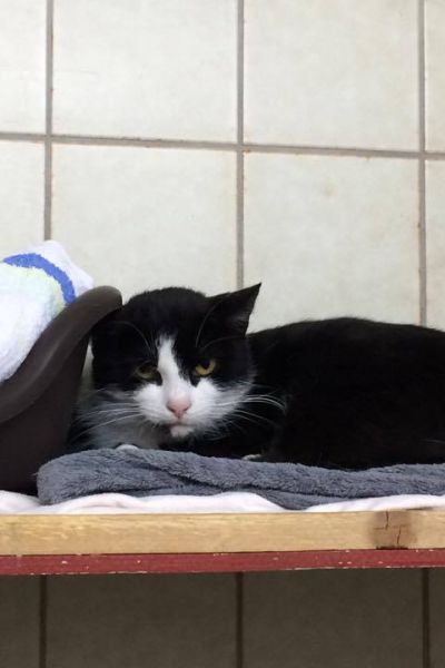 Tierheim weist auf schwierige Finanzlage hin