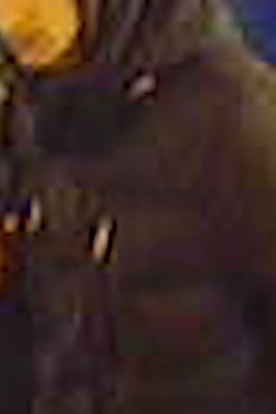 Öffentlichkeitsfahndung nach Anschlag auf Oldenburger Synagoge