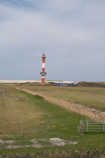 Ostfriesische Inseln registrieren mehr zugezogene Menschen