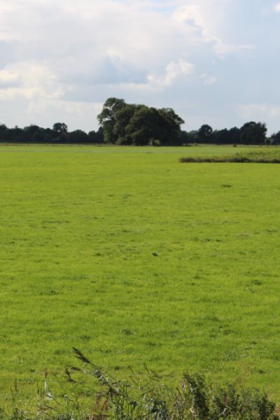 Offener Brief für Weideprämie