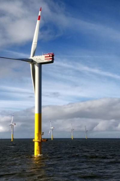Windpark komplett am Netz