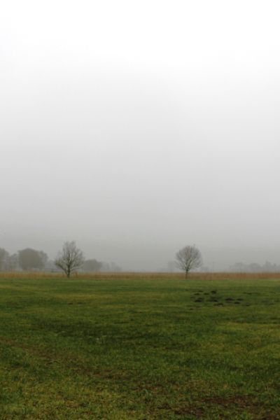 Ehemaliger Wangerländer Bürgermeister verstorben