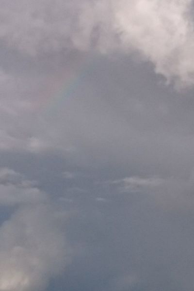 Löschflugzeuge werden erneut in Niedersachsen stationiert